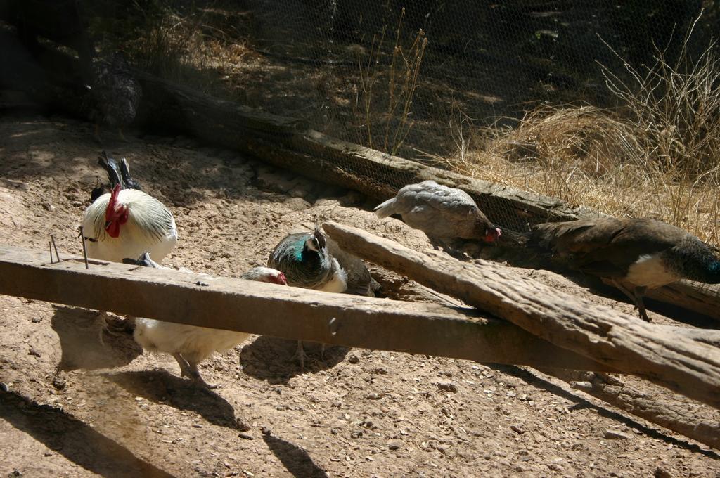 הורנוס Casas Rurales La Loma Del Carrascal מראה חיצוני תמונה