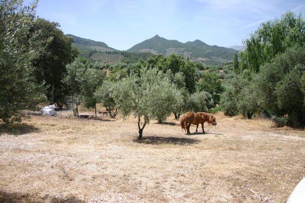 הורנוס Casas Rurales La Loma Del Carrascal מראה חיצוני תמונה