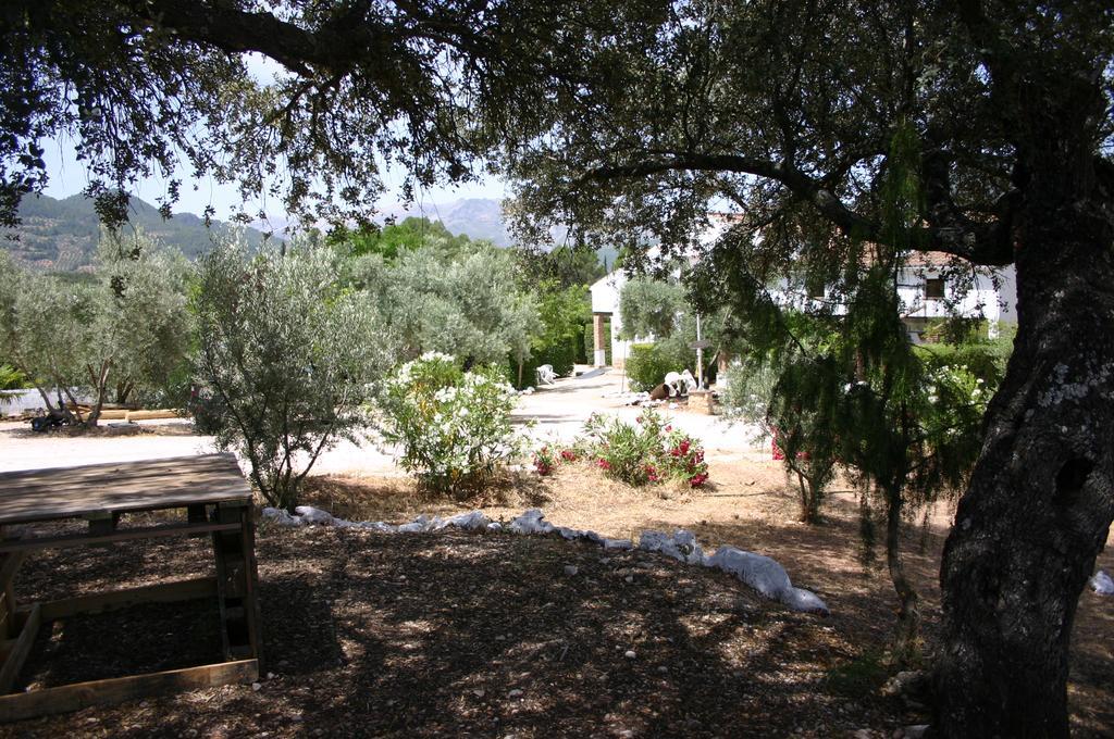 הורנוס Casas Rurales La Loma Del Carrascal מראה חיצוני תמונה