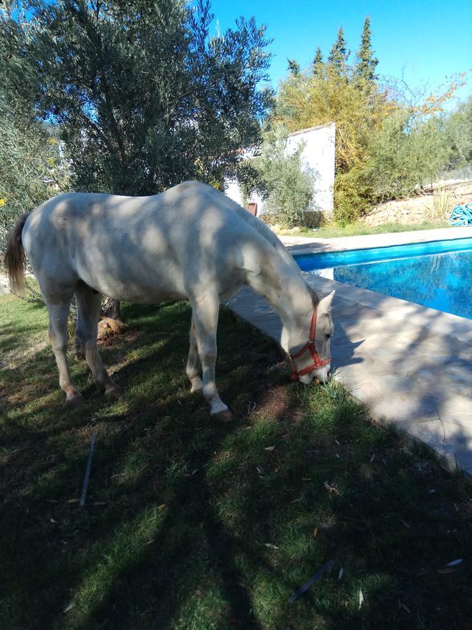 הורנוס Casas Rurales La Loma Del Carrascal מראה חיצוני תמונה